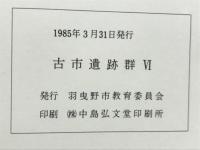 古市遺跡群　Ⅵ　羽曳野市埋蔵文化財調査報告書10
