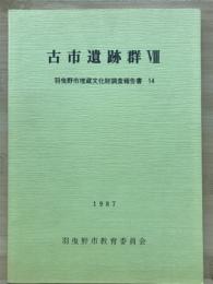 古市遺跡群　Ⅷ　羽曳野市埋蔵文化財調査報告書１４

