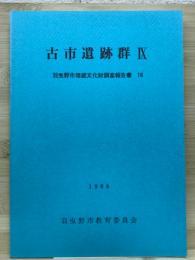 古市遺跡群9
