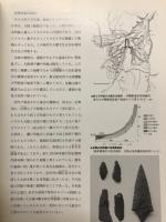 かわちのくに : 展示解説