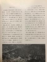 布留遺跡出土の埴輪