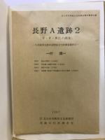 長野A遺跡