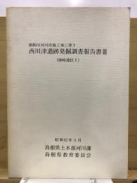 朝酌川河川改修工事に伴う西川津遺跡発掘調査報告書