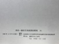 飛鳥・藤原宮発掘調査概報16