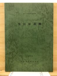 長崎県文化財調査報告書