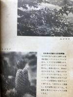 北方の植物