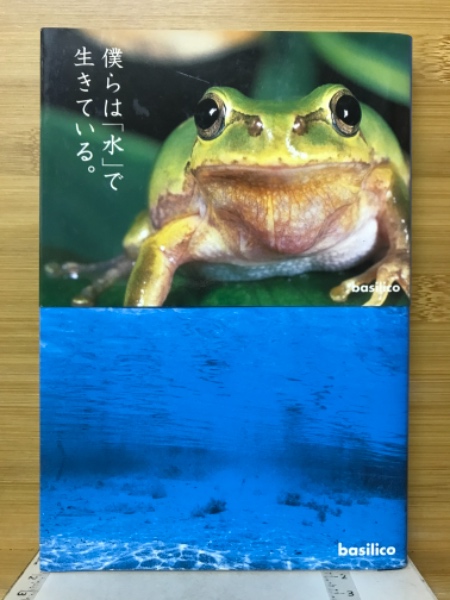 とらとらねこちゃん(上崎美恵子 作 西村郁雄 絵) / 古本倶楽部