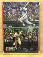 保存版　1982年のベースボールガイド　プロ野球12球団400選手の年度別全成績
