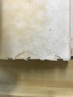 燕石十種