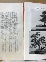 趣味の盆栽 : 培養実験