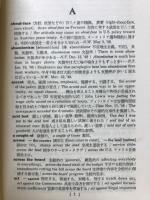 アメリカ英語要語辞典