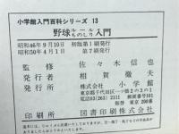 野球ルールものしり入門