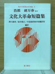 文化大革命短篇集
