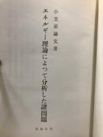 エネルギー理論によって分析した諸問題