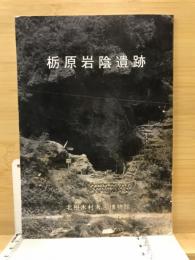 栃原岩陰遺跡