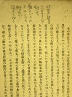 武蔵野昆虫記