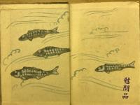 天の魚
