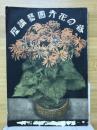 春の花卉園芸講座