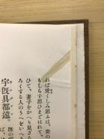 萬葉集攷證