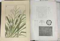 杉浦非水木版画　非水百花譜　木版画