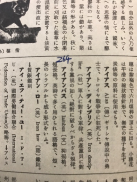 新編東洋史辞典 | 京大東洋史辞典編纂会 |本 | 通販 | Amazon