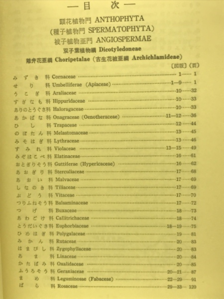 自然生物学原色日本植物図鑑 草本編 1 (合弁花類)