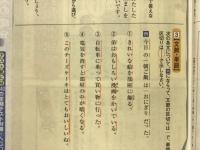 マンガでよくわかる！　中一国語文法事典