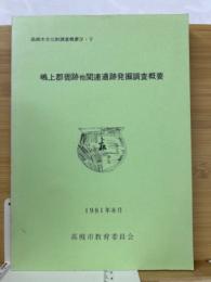 嶋上郡衙跡他関連遺跡発掘調査概要　4・5