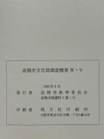 嶋上郡衙跡他関連遺跡発掘調査概要　4・5