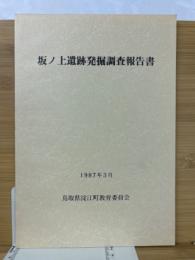 坂ノ上遺跡発掘調査報告書