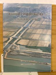 新守山川改修工事関連遺跡発掘調査概要Ⅳ