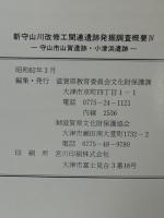新守山川改修工事関連遺跡発掘調査概要Ⅳ