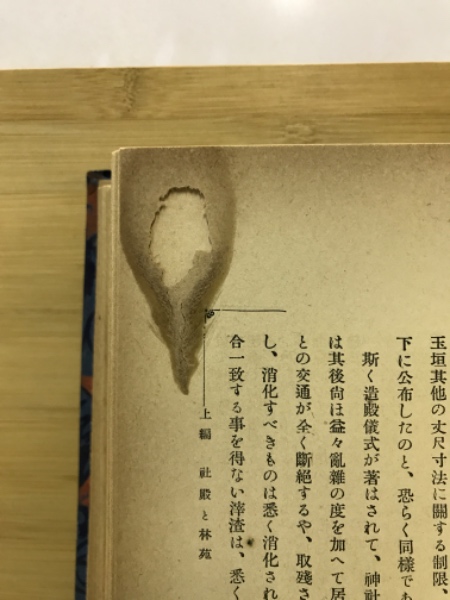 明治神宮紀(田澤義鋪, 大江新太郎, 折下吉延, 本郷高徳, 井上清