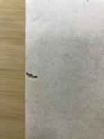 統計数理