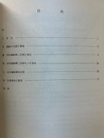 仲泊遺跡 ＜恩納村文化財調査報告書1＞