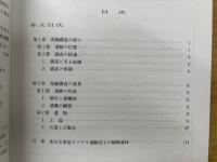 ヌバタキ : 都市計画街路2-1-1号建設に係る緊急発掘調査報告