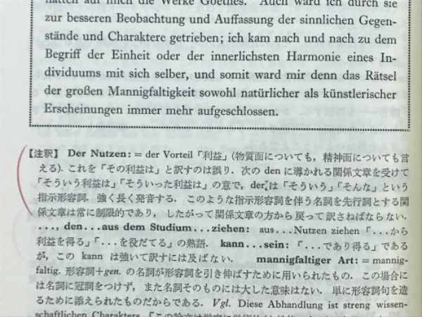 独文解釈の秘訣: 大学入試問題の徹底的研究 (1) | 横山 靖 |本