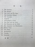 課外のドイツ語 : 夏休みのドイツ語