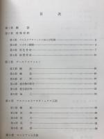 特殊アスファルト舗装