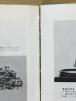 石付き盆栽づくり百科