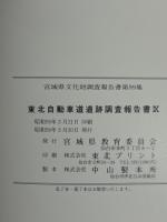 東北自動車道遺跡調査報告書　ⅠⅩ