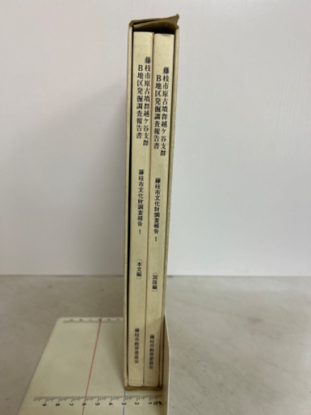 中国仙道房中術入門 : 享楽と長寿の秘伝(秦浩人 著) / 古本