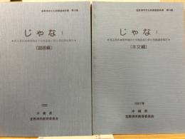 じゃな1 ＜宜野湾市文化財調査報告書12、14＞　本文編　図版編　2冊揃