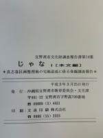 じゃな1 ＜宜野湾市文化財調査報告書12、14＞　本文編　図版編　2冊揃