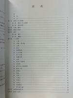 高嶺古島遺跡 ＜豊見城村文化財調査報告書4＞
