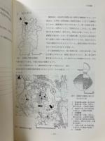 小泉遺跡　発掘調査概報