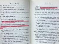実践英文法シリーズ 4　動詞　(下)