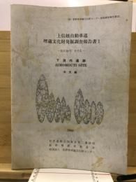 上信越自動車道埋蔵文化財発掘調査報告書