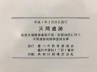 天間遺跡 : 県営ほ場整備事業平尾・財賀地区に伴う天間遺跡発掘調査報告書