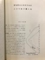 離れ松遺跡第6号遺構　牛牧第3次調査